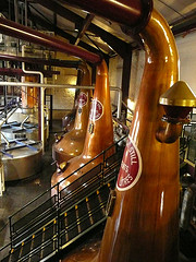 Bushmills 16 year best Irish whiskey